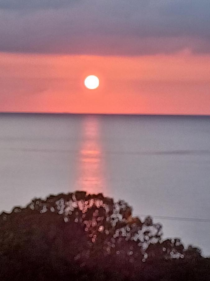 Bay Karinta